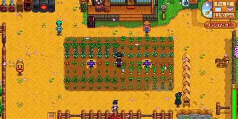 Growing crops at Oasis : r/StardewValley .